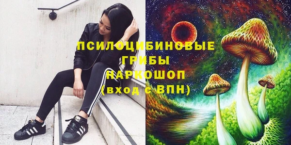 ECSTASY Белокуриха